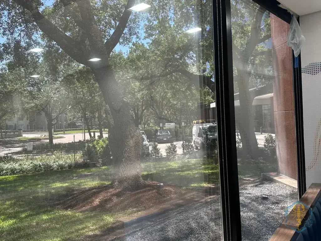 Floor-to-ceiling dining room glass cleaned inside, trees and parking visible through it without streaks.